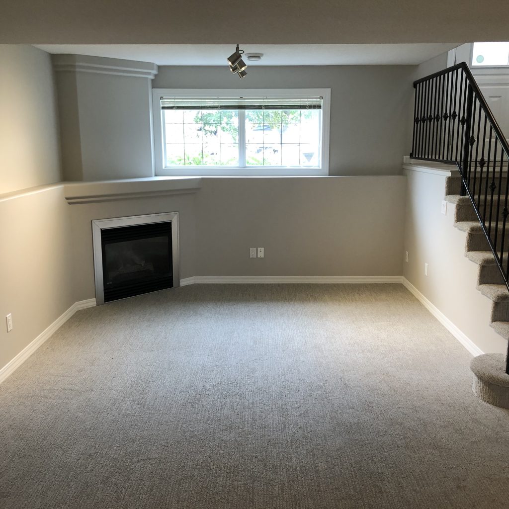 Basement Renovations #2